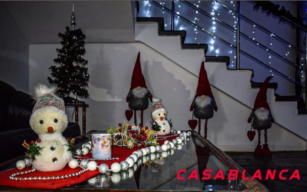 Casablanca Hostel Craiova Buitenkant foto
